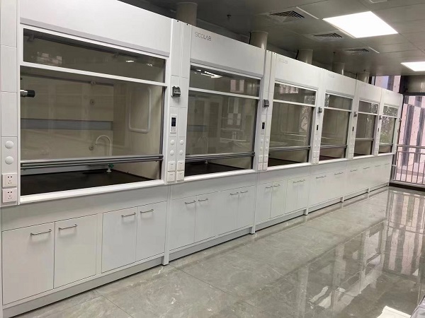 耐酸pp通風(fēng)柜生產(chǎn)廠家 耐酸pp通風(fēng)柜生產(chǎn)廠家